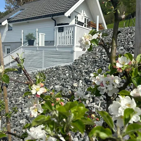 Appartement Fjord Road à Hjelmeland Extérieur photo
